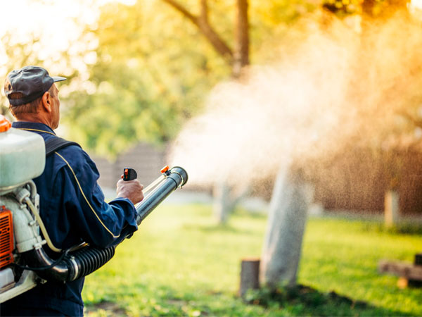 operazioni-di-disinfestazione-mirandola