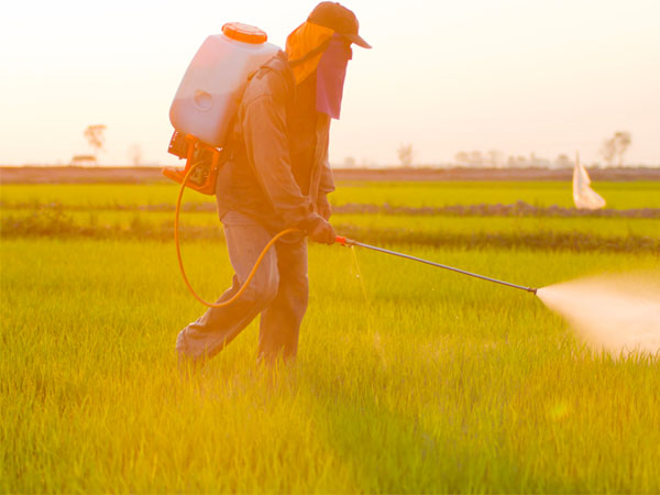 interventi-di-diserbo-chimico-gonzaga