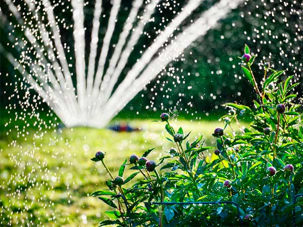 impianto-più-adatto-in-base-alle-proprie-esigenze-mirandola